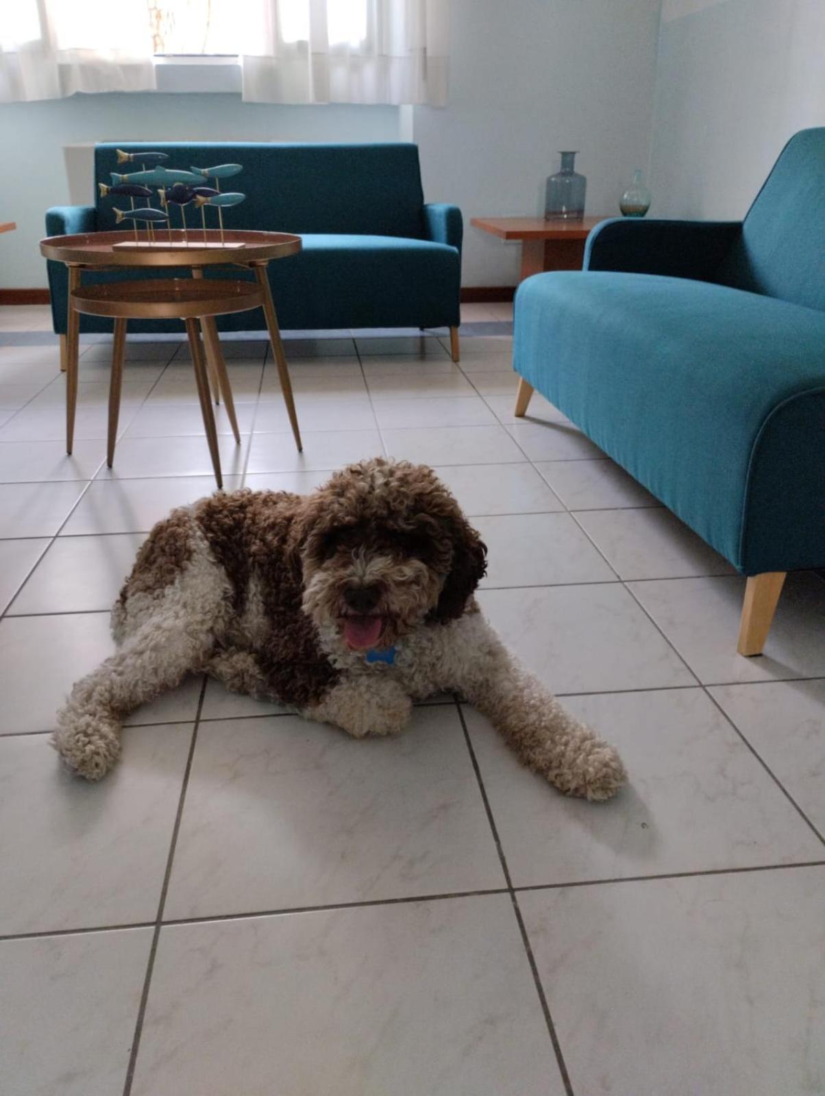 Готель Casa Per Ferie Il Pioppo Марина-ді-Масса Екстер'єр фото